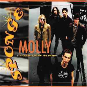 Sponge - Molly (16 Candles Down The Drain) Album