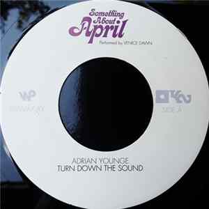 Adrian Younge Pres. Venice Dawn - Turn Down The Sound / 1969 Organ Album