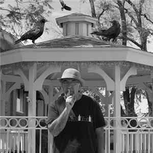 Eddy Detroit - Black Crow Gazebo Album