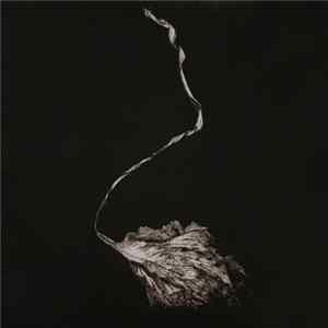 Maggie Rogers - Blood Ballet Album