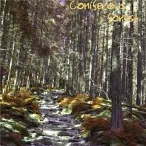 Adam Mankowski - Coniferous Forest Album