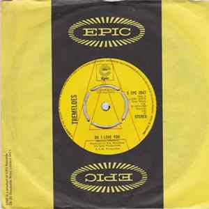 The Tremeloes - Do I Love You / Witchcraft Album