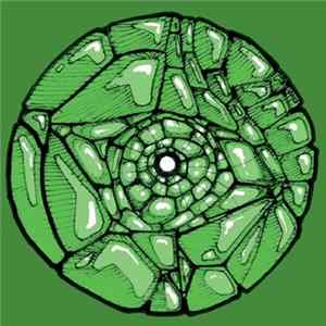 Francisco Allendes - So Long Reptilians Album