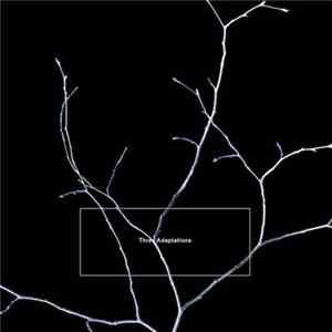 K. Leimer - Three Adaptations Album