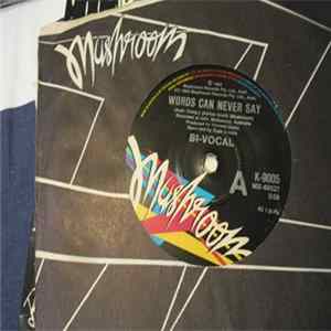 Bi-Vocal - Words Can Never Say Album