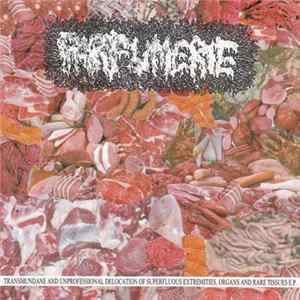 Parfumerie - Transmundane And Unprofessional Delocation Of Superfluous Extremities, Organs And Rare Tissues E.P. Album