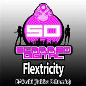 E-Voski - Flextricity (Jakka B Remix) Album