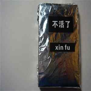 不活了 - xin fu Album