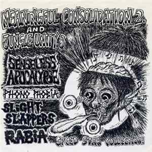 Various - Meaningful Consolidation 2 / Jungle Unity 3 Album