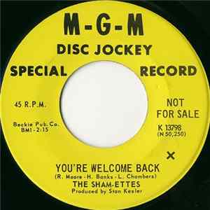 The Sham-Ettes - You're Welcome Back / He'll Come Back Album