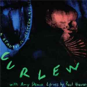 Curlew With Amy Denio Lyrics By Paul Haines - A Beautiful Western Saddle Album
