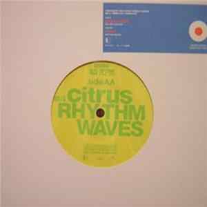 Papas Fritas / Citrus - Trattoria 7inch Split Single Series No. 3 Album