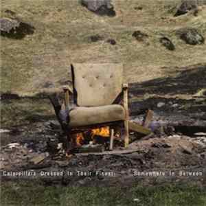 Caterpillars Dressed In Their Finest - Somewhere In Between Album