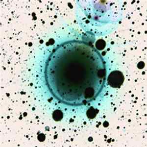 Zero 7 - Simple Science EP Album