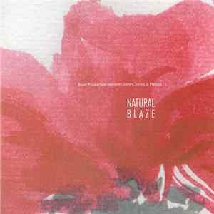Blaze Production Presents James Toney Jr. Project - Natural Blaze Album