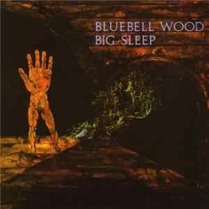 Big Sleep - Bluebell Wood Album