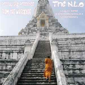The Nasty Lol Orchestra - From The Wreckage (A 120 Bpm Experimentalist Symphony) Album