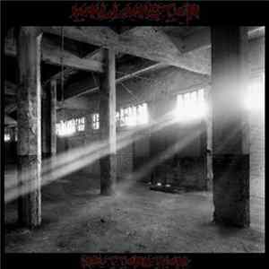 Wallmaster - Kioutteratheid Album