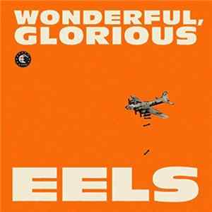 Eels - Wonderful, Glorious Album