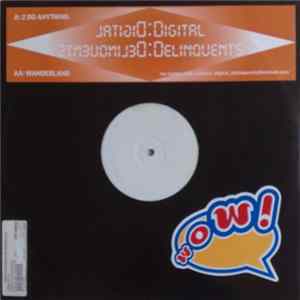 Digital Delinquents - 2 Do Anything Album