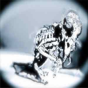 Snowfeeder - Birds And Bees And Other Such Things Album
