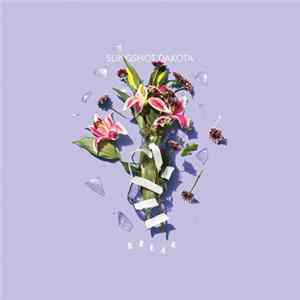 Slingshot Dakota - Break Album