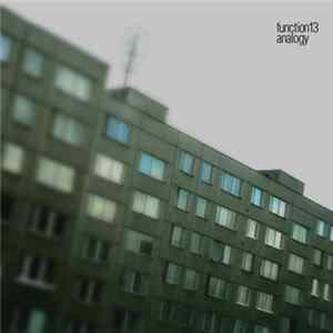 Function 13 - Analogy Album