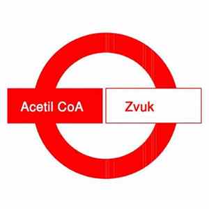 Acetil CoA - Zvuk Album