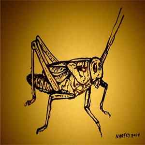 Armin Sturm / Glasgow Improvisers Orchestra - Insects Album