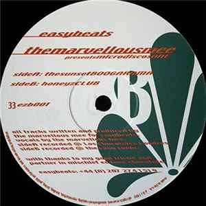 TheMarvelousMee - MicrodiscosOne Album