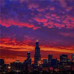Daylight Sinners - Sorry, Chicago Album
