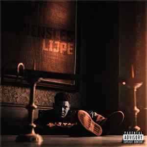 Lijpe - Levensles Album