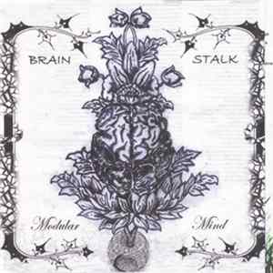 Brain Stalk - Modular Mind Album