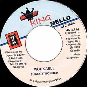 Shaggy Wonder - Workable / Version Album