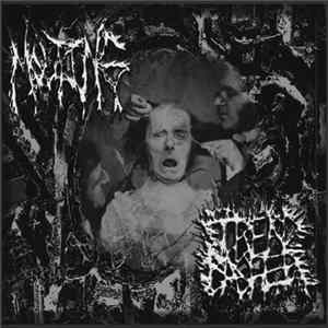 Molting / Trend Basher - Untitled Album