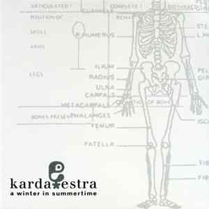 Karda Estra - A Winter In Summertime Album