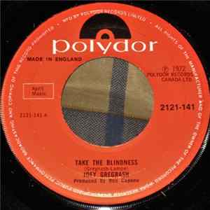 Joey Gregrash - Take The Blindness Album