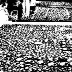 Hauntings / Robedoor - Split Album