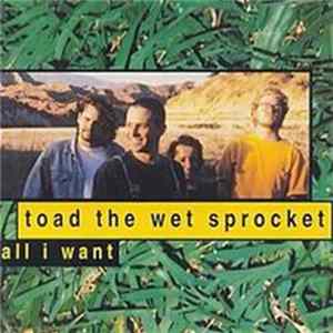 Toad The Wet Sprocket - All I Want Album