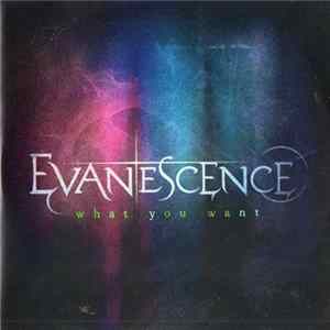 Evanescence - What You Want Album
