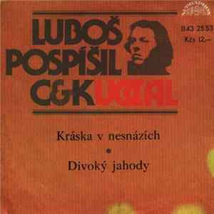 Luboš Pospíšil, C&K Vocal - Kráska V Nesnázích ✻ Divoký Jahody Album