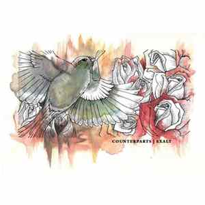 Counterparts, Exalt - Counterparts ​/​ Exalt Split Album