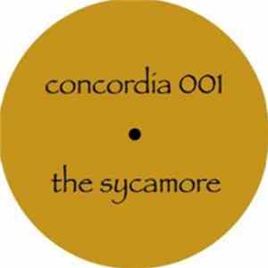 Unknown Artist - The Sycamore Album