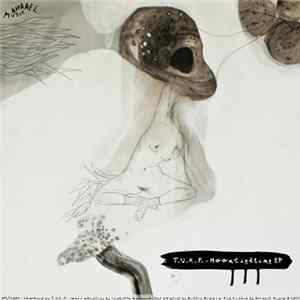T.U.R.F. - Moonlighting EP Album