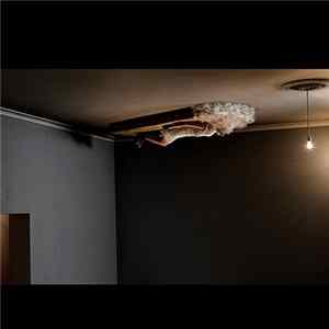 The Polyamorous Affair - Hypnotized Album