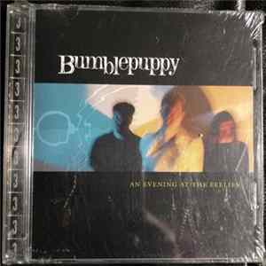 Bumblepuppy - An Evening At The Feelies Album
