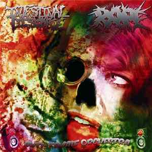Intestinal Disgorge / RAPE - Anti-Female Orchestra Album