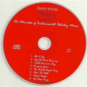 David Young - Holiday Sampler 30 Minutes Of Instrumental Holiday Music Album