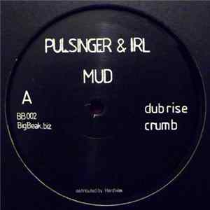Pulsinger & Irl - Mud Album