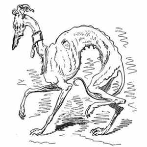 Borzoi - Surrender The Farm Album